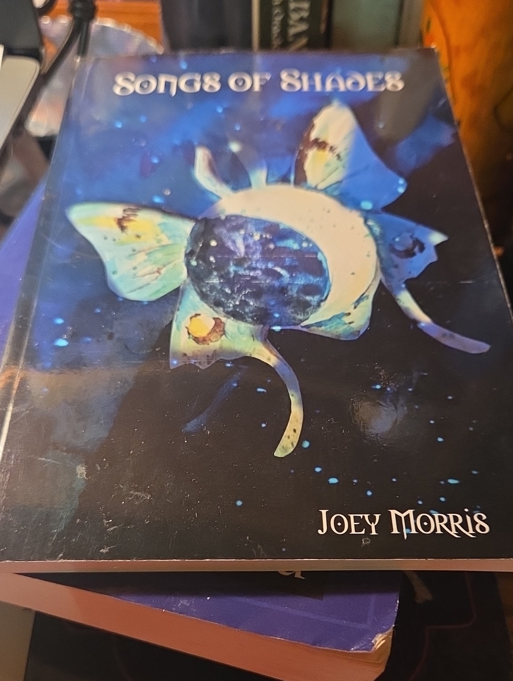 Song Of Shades Book